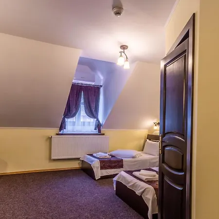 Pensiunea Hermannstadt-2